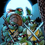 Ninja Turtles Colors