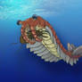 Anomalocaris