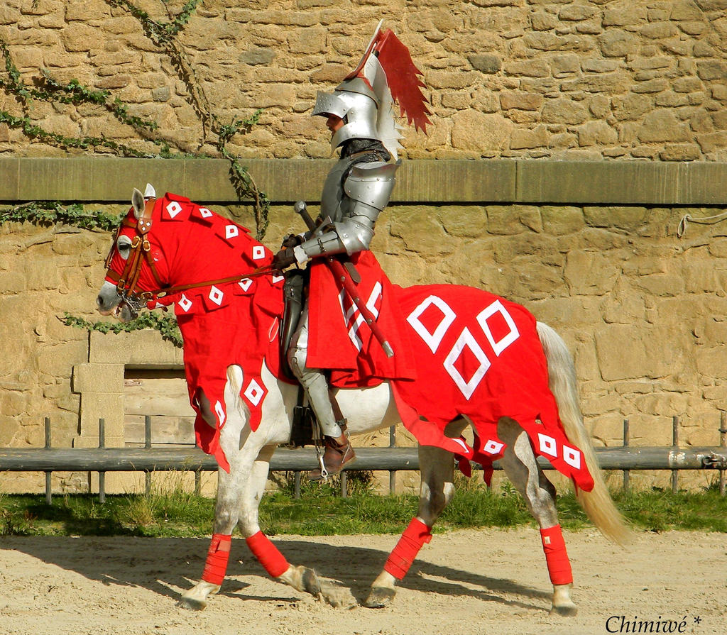 Red knight