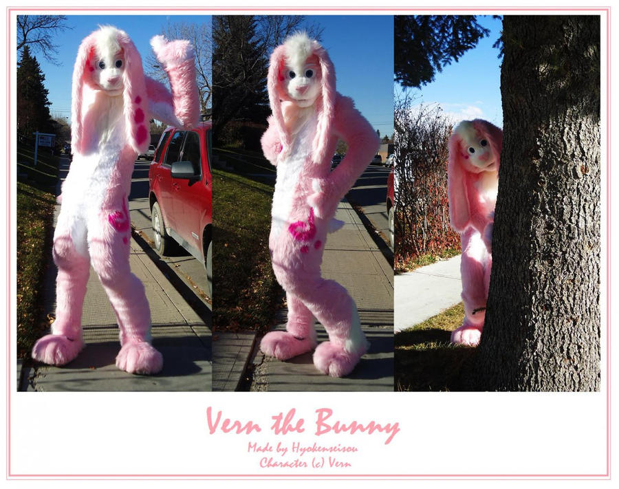 Fullsuit - Vern the Bunny