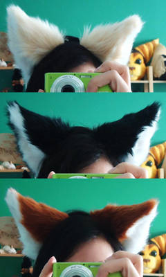 Feline ears