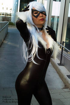 BlackCat 01