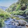 Maleny Watercourse