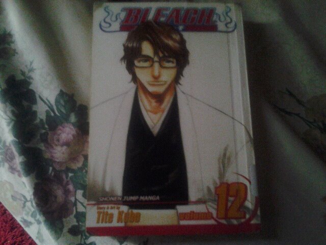 Volume 12 of Bleach