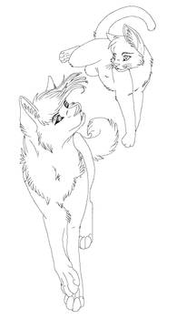 wolf and cat
