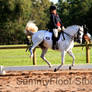 Dressage Stock-25