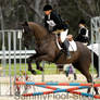 Show Jumping Stock-85