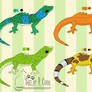 Gecko Adopts -SOLD-