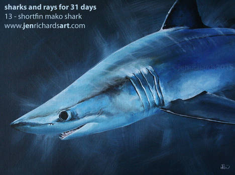 Shortfin Mako: Sharks and Rays for 31 Days