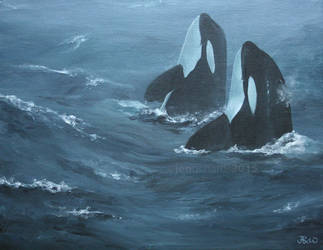 Storm Orcas by odontocete