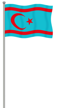 Flag of Aleppo Turkmen Minority