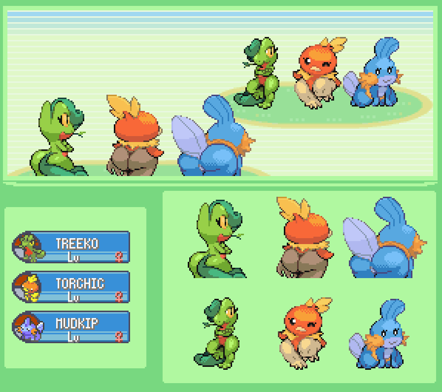 Pokescape Emerald Starters Emerald at Sophia Sutcliffe blog