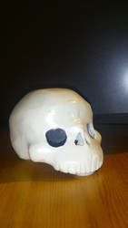 Finished skull painted