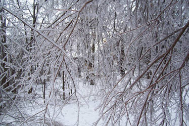 Ice Storm III