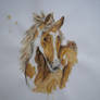 Coffee Art - Paint Horse