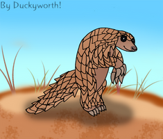 A Precious Pangolin