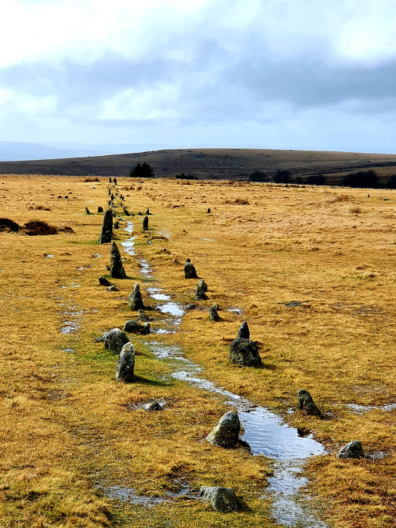 Ducky Pathways Pathway To The Past by Duckyworth on DeviantArt