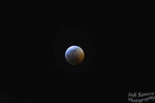 Super Blood Wolf Moon Eclipse 5