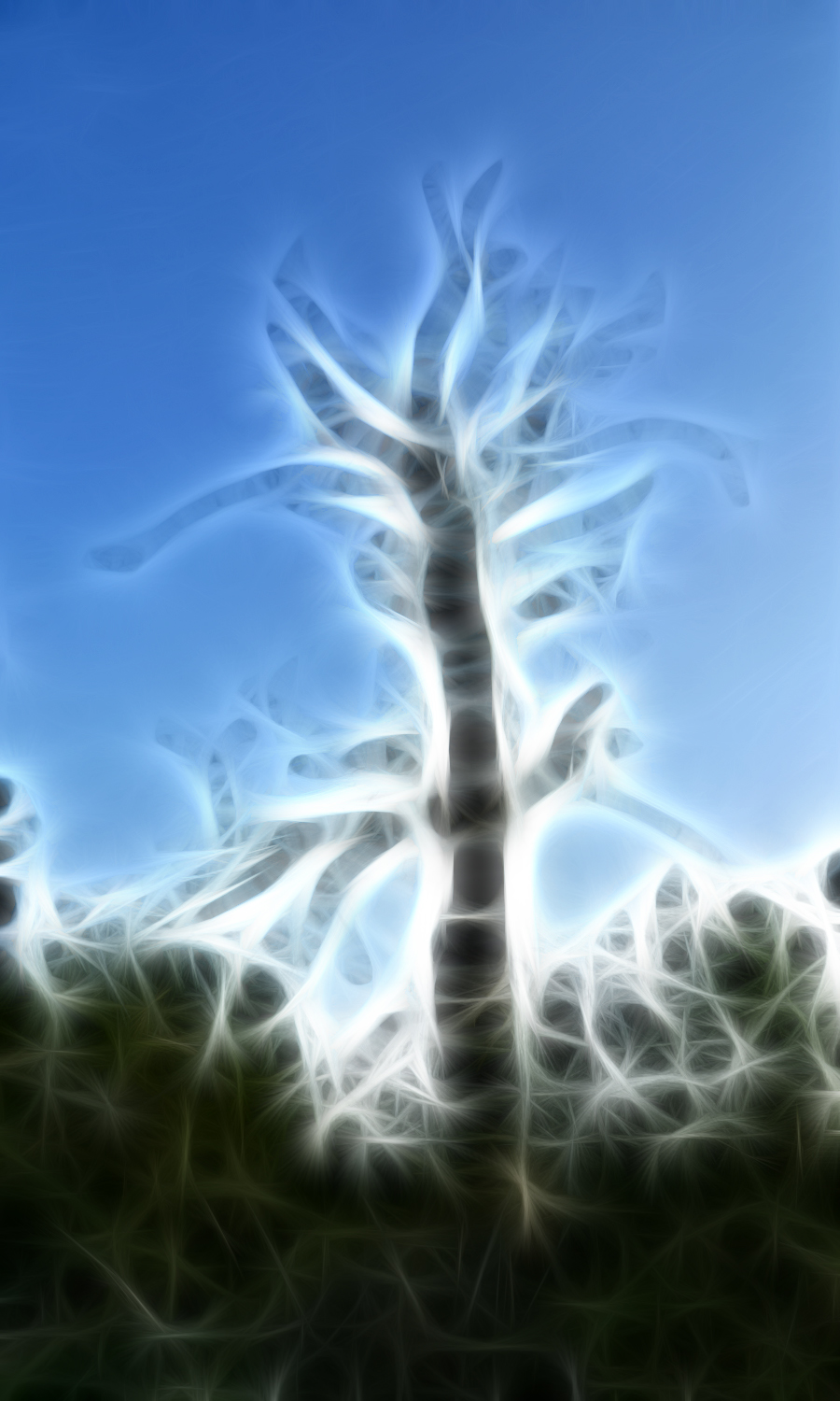 Lightning Tree in Warm Fractals