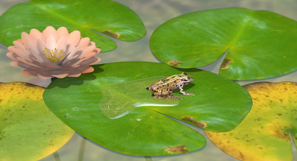 Southern Leopard Frog