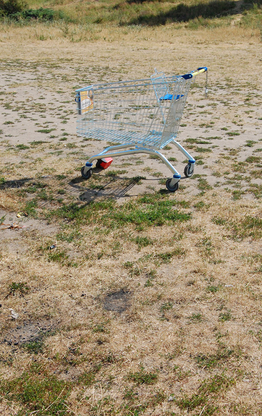 Wild Shopping Cart