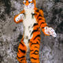 Lucky-Tiger Fursuit Photoshoot #12