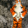 Lucky-Tiger Fursuit Photoshoot #10