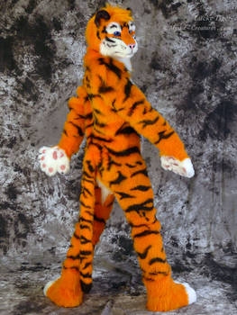 Lucky-Tiger Fursuit Photoshoot #01