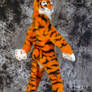 Lucky-Tiger Fursuit Photoshoot #01