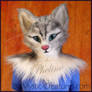 Pheline, the house cat