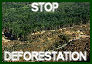 Stop Deforestation by sparx222