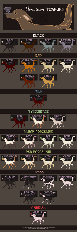 Venetian Teapup: Breed Sheet [Color]