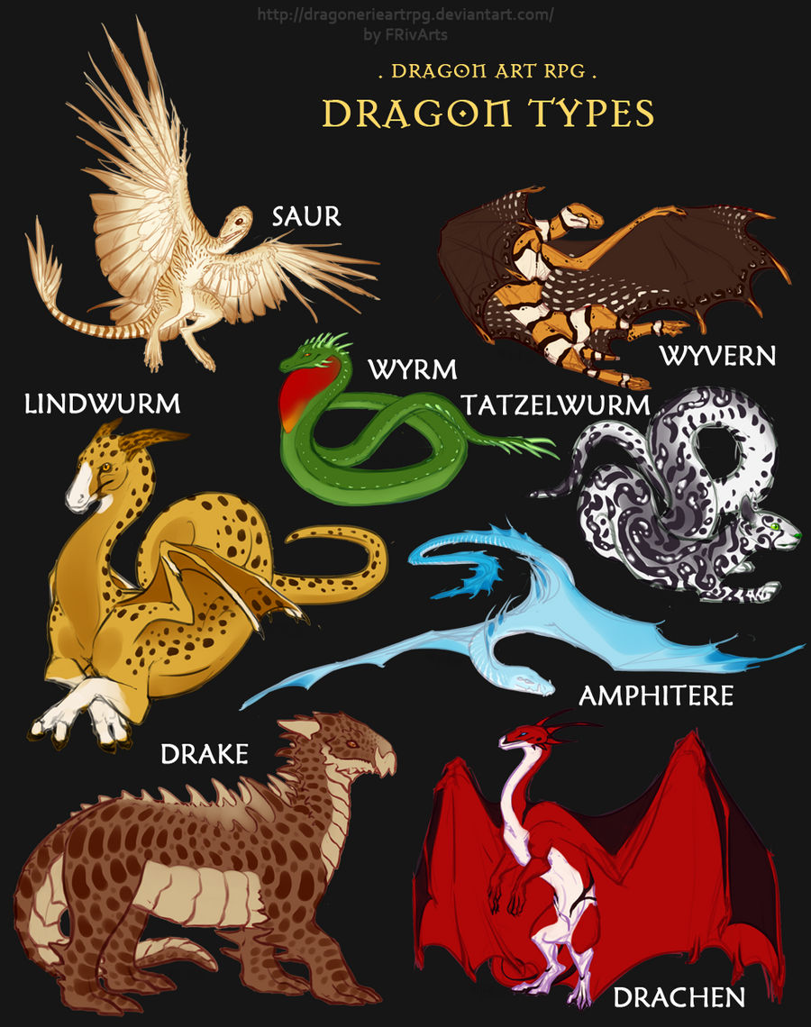 . DrARPG . Dragon Types, Sketches by FRivArts on DeviantArt