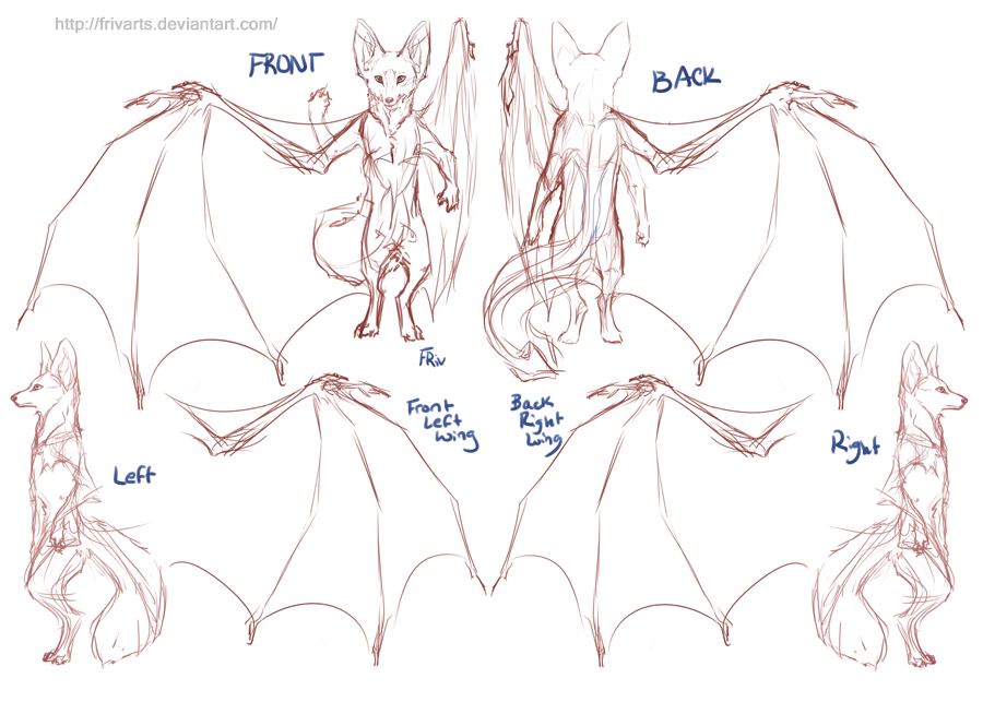 Alluvix Turnaround Sheet Sketch