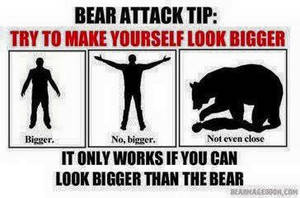 Bear Tip #7