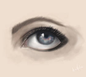 Eye Study