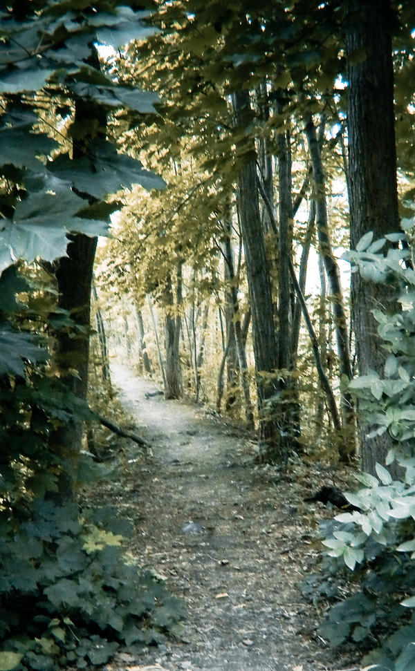 Strolling the trail