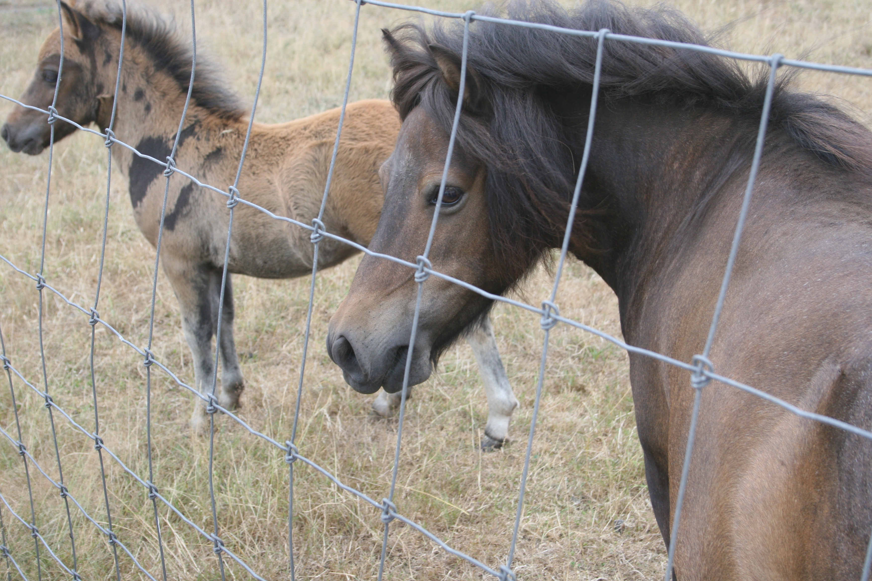 Mother and daughter