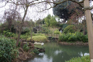 Dans Adventureland