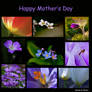 Happy Mother's Day