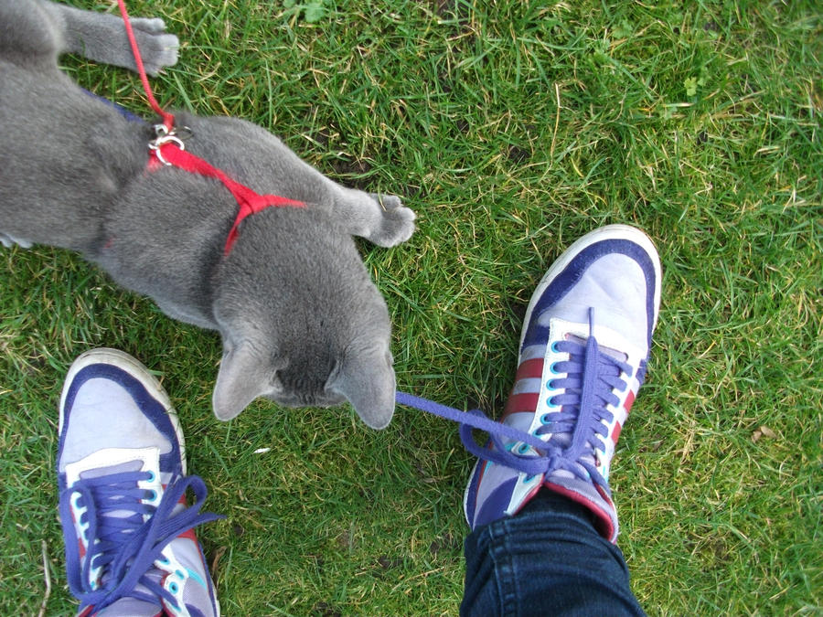 La Di Da holding my shoelace