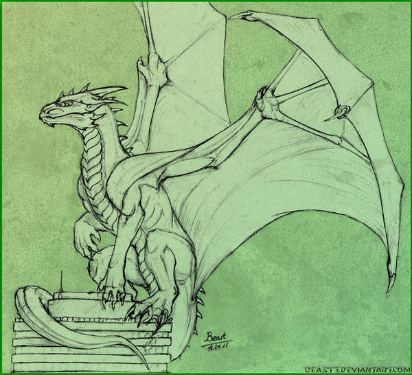 dragon sketch for tasyne