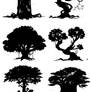 Tree Silhouettes and Heights