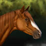 Chestnut horse