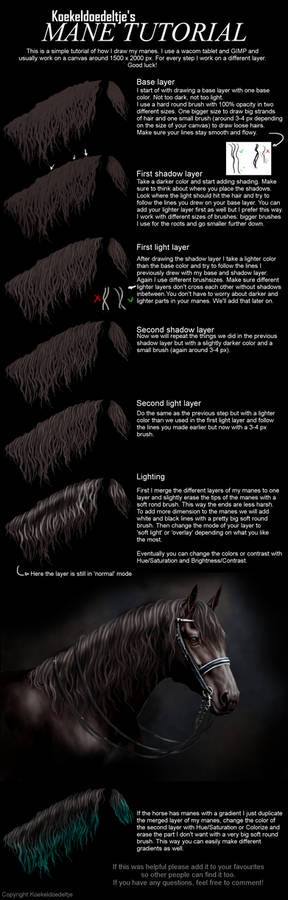 Mane tutorial