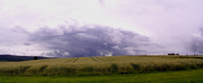 Cloud over field