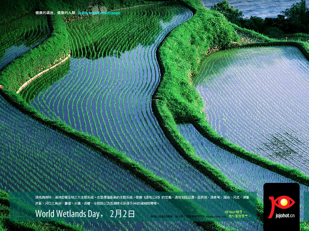 world wetlands day 2