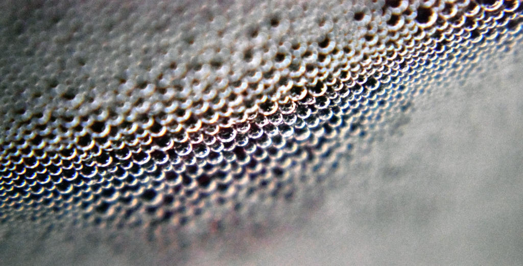 Strutterbubble Bubbles by theintrostealer on DeviantArt