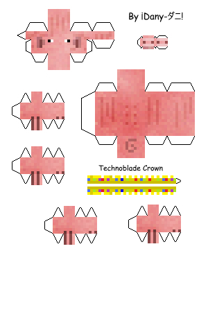 How to Add the Technoblade Crown to Your Skin 