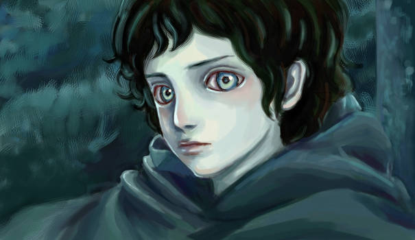 Mr. Frodo